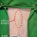 위브동물의료센터 이미지