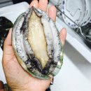 (주)비에이치인터네셔널