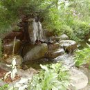 물맑은집 이미지