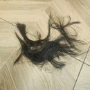 초긍정샵 | 현지 미용실 이용 후기_후판링리1층 미용실💇‍♀️