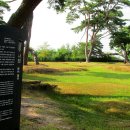 나정주유소 이미지