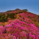 영취산 여수신문