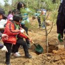 희망나무심기3 이미지