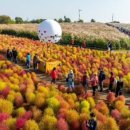 1-6호어린이공원 이미지