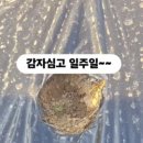싹찍어(주)