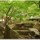 비로산장 Daum카페