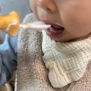 재형목장 이미지