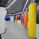 보문복싱 이미지