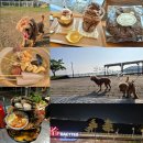 지에스25 영종베스트빌점 | 인천 영종도 애견동반 1박2일 여행 코스 식당 카페 추천