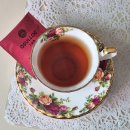 티룸동백 이미지