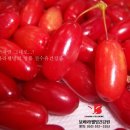 명품웰빙홍삼