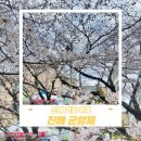 여좌작은도서관 | 진해벚꽃군항제 벚꽃축제 먹거리,,, 아직 다 피지 않은 벚꽃