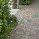 (주)푸른나라 | 푸른수목원 도시정원사 &#39;푸르너(Pureun-er) 3기&#39; 양성 교육 - 7주 차