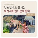 복지연구소(화성점) | 화성시어린이문화센터 아이와 다녀왔어요(예약 방법, 주차 후기)