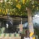 봉기농장 이미지