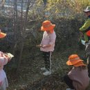 원천초병설유치원 이미지