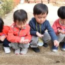 아이소크라테스 유치원 이미지