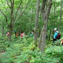 천령산 화장실 | 천령산(청하골) /경북 포항
