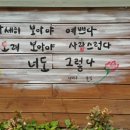들꽃찻집 - 안성시 원당로 236-1 | 들꽃찻집