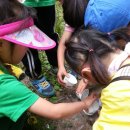 문의초교 병설유치원 이미지