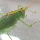 고원관광휴게소 이미지