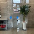 시골밥상 | [부산 금정] 푸짐한 한정식 한상 제대로 즐길 수 있는 범어사 맛집 '시골밥상' 솔직후기