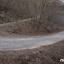 십일시시장1 이미지