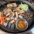 금빛한돈 이미지