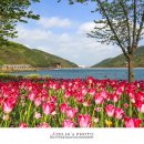 송해공원 제1주차장 이미지