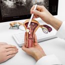 로아산부인과의원 이미지