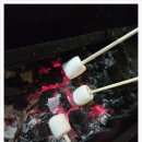 힐링뷰하우스