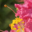 창신세탁소 이미지