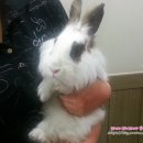 장우진동물병원 이미지