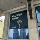 아틀리에피울 이미지