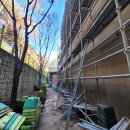 태랑초등학교 이미지