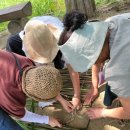 우포굴렁쇠민박 이미지