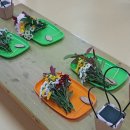 개신초교 병설유치원 이미지