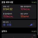 찐찐찌니야