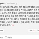 꿀벌태양광발전소 이미지