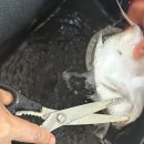 백세건강마을비알엠연구소 | [K-푸드 인문학]곽경자식초담다 밥상에서 세사람이 모여 병어의 계절 꼭 먹어야 할 병어조림 만들기로...