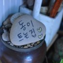 동이트는집 이미지