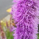 리아아파트 및 상가 이미지