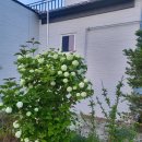 여주-0608 | 스플라스 리솜 &amp; 여주 세컨하우스 현충일 징검 연휴보내기^^