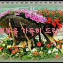 가유