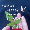 연일