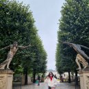 국기태권도장 | 오스트리아 잘츠부르크 여행 5일차: 잘츠부르크 숙소 추천, Adlerhof 호텔, 미라벨 궁전, 모차르트 생가...