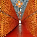 곶감호랑이 이미지