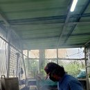 0713 천등산,우도,당두리(비트,비파,단호박,가지 차 ) 이미지