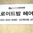 로이드밤헤어 센트럴파크점