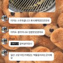 고양문화의집 3층 문화관람실 | 250416 고양운동장 콜드플레이 내한 콘서트 지정석 1일차 후기